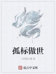 孤标傲世代表数字几
