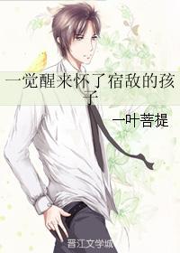 一觉醒来怀了宿敌的孩子全本