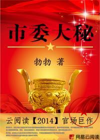 市委大秘 免费全文阅读