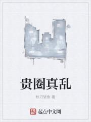 贵圈真乱by掩面娘讲的什么