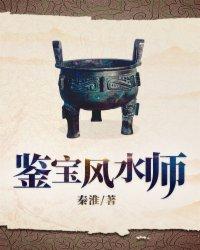 鉴宝风水师陈凡免费阅读