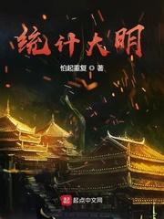统计大明 第1039章