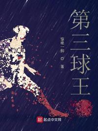 第三球王惊艳一脚最新章节内容
