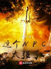 这个npc太强了有几个女主