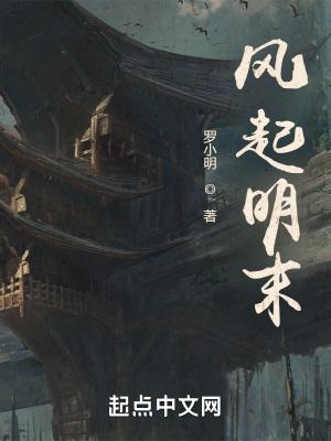 风起明末无错版