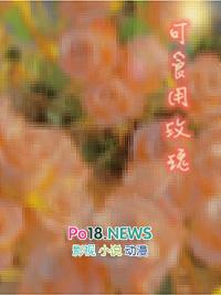 可食用玫瑰花是哪种