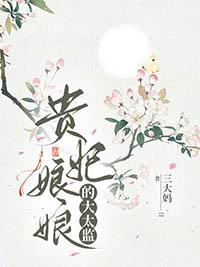 贵妃娘娘的大太监怎么样