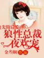 先做后爱狼性总裁夜欢宠无广告