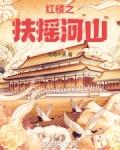 红楼之扶摇河山百度