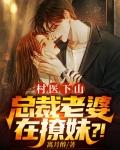 村医txt