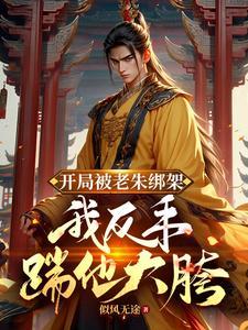 开局被老朱绑架我反手踹他大胯百度阅读
