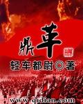 鼎革 南北议和与清帝退位
